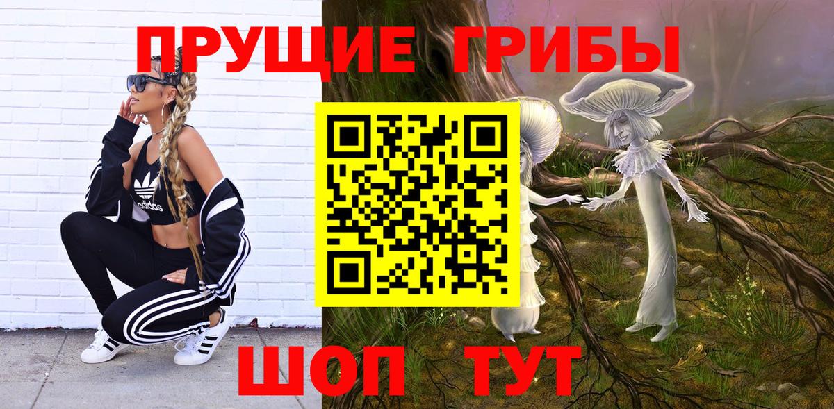 Псилоцибиновые грибы мицелий Лосино-Петровский