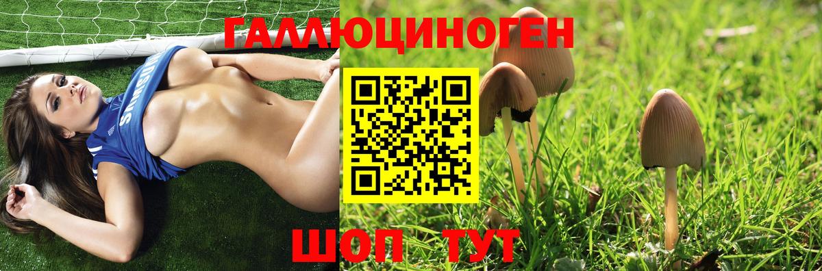 Лосино-Петровский  Галлюциногенные грибы прущие грибы  Вход с VPN  Псилоцибиновые грибы мицелий 